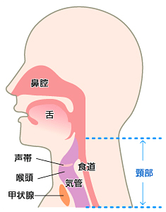 圖文圖片