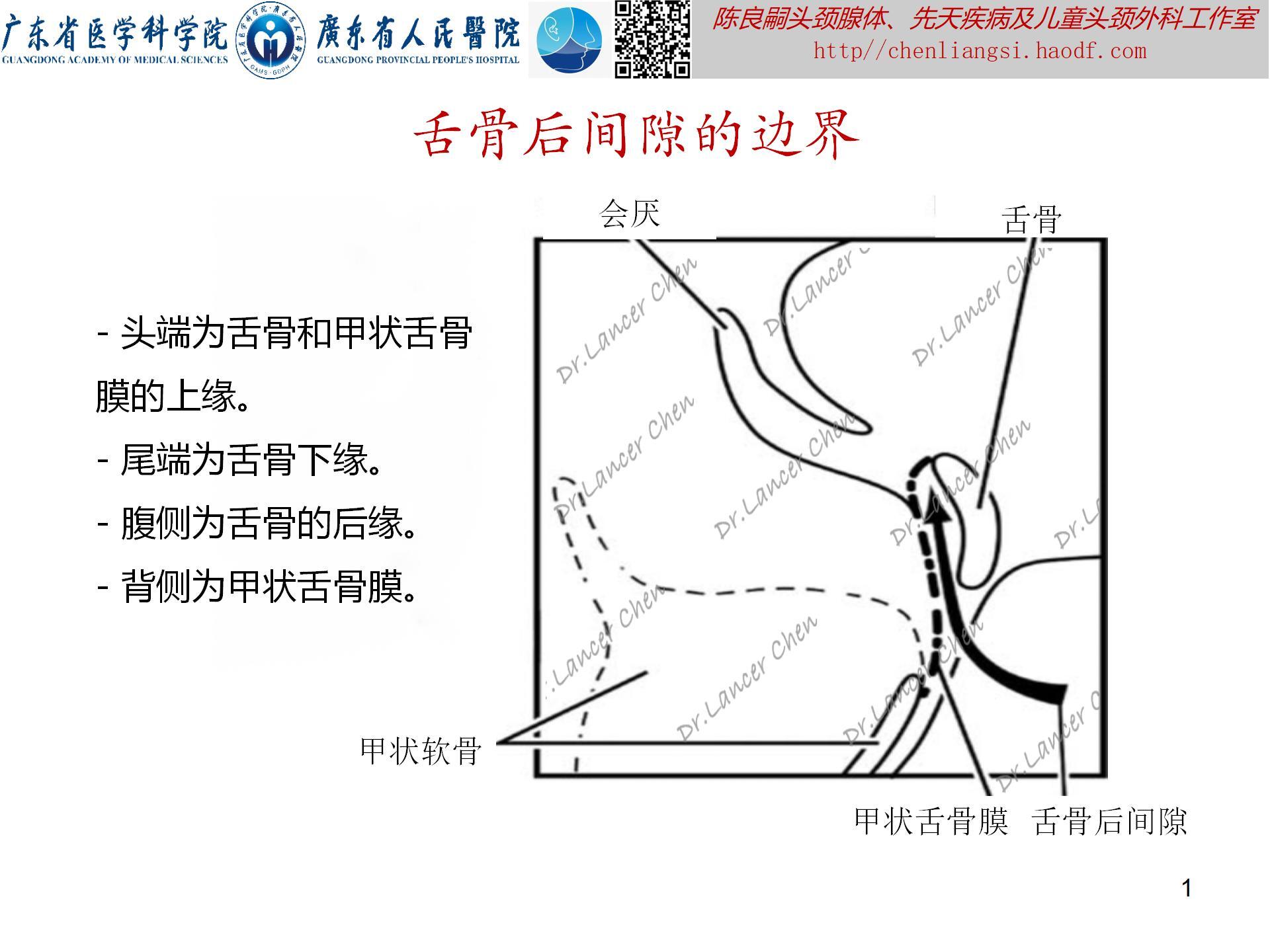 20240621：医学科普——百密一疏：舌骨后间隙的忽略，可导致甲状舌管囊肿术后复发_01.jpg