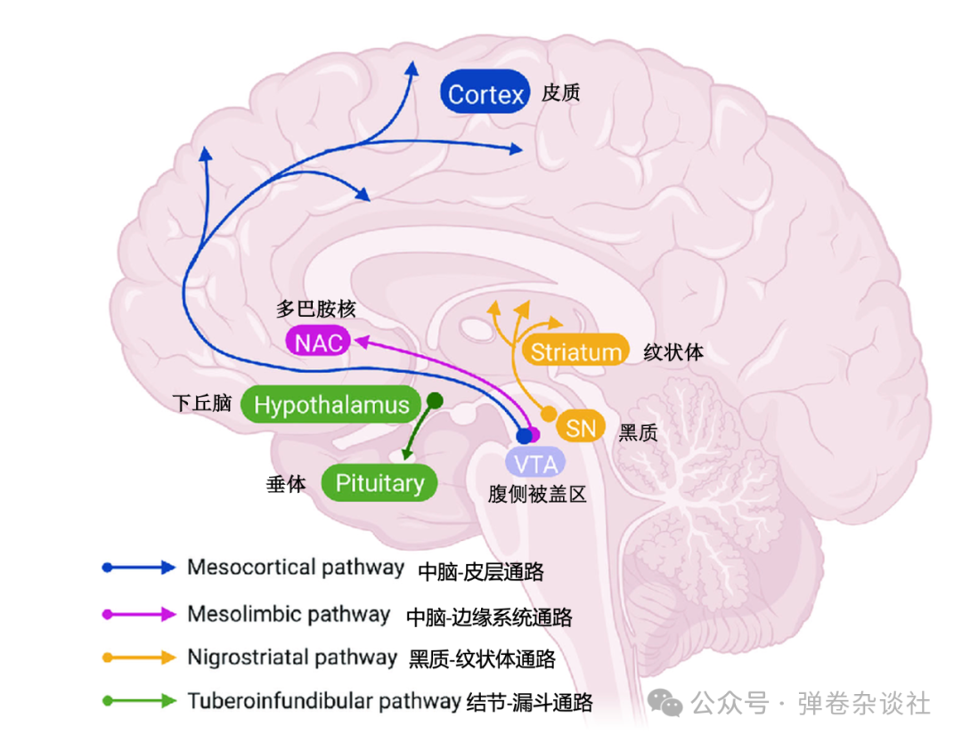 图文图片