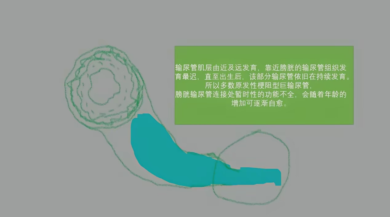圖文圖片