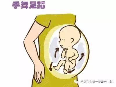 胎动 生命的信号 好大夫在线 胎动 生命的信号 好大夫在线