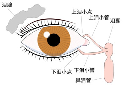 迎风流泪,以泪洗面知多少?_泪道阻塞_介绍_症状表现_治疗方式 - 好大夫在线