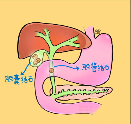 图文图片