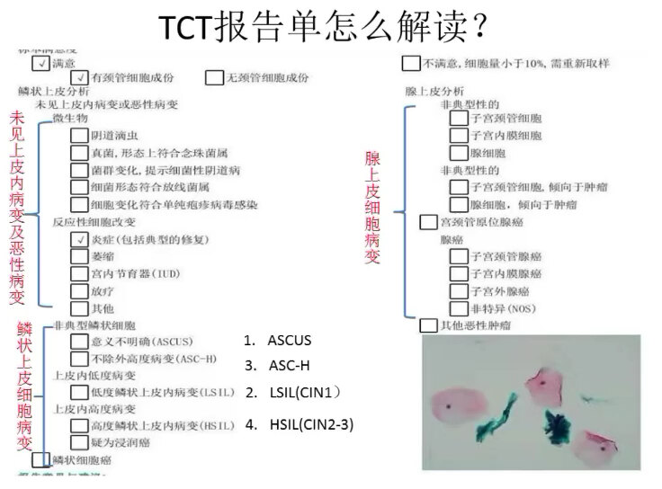 默认图片