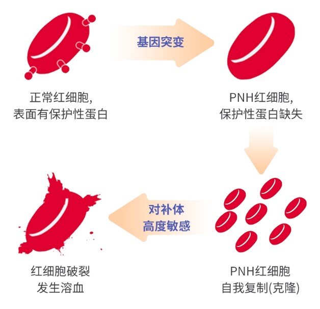 圖文圖片