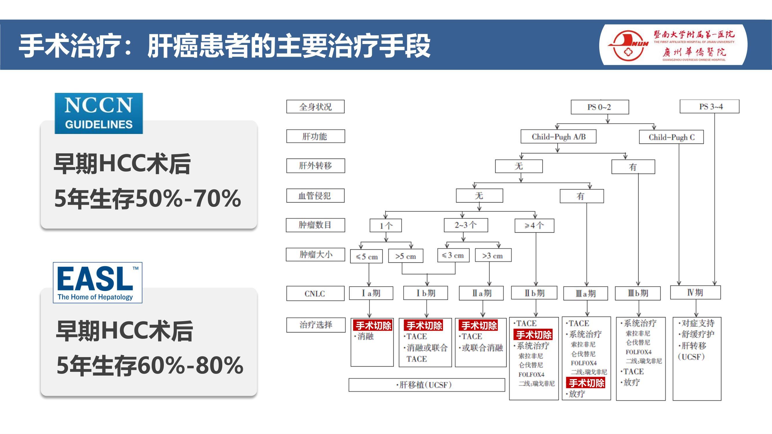 肝癌转化、新辅助和辅助治疗的研究进展(2023)(上) - 好大夫在线