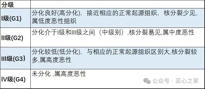 肿瘤分化、分级、分期，都意味着什么_肺癌_肺癌介绍 - 好大夫在线