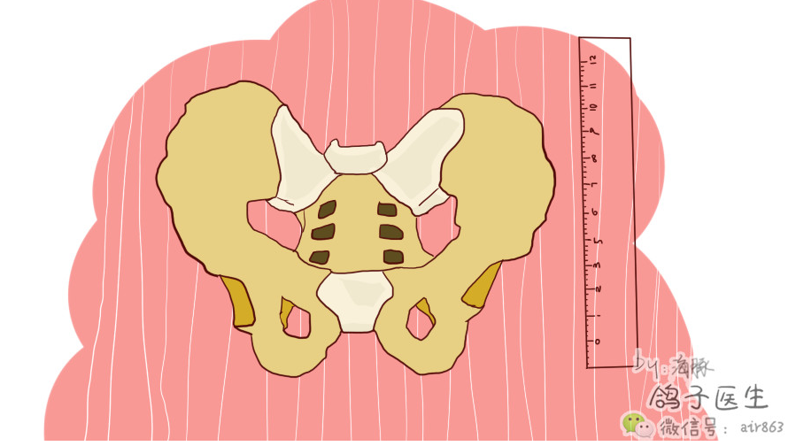 盆骨测量会痛但是请不要拒绝