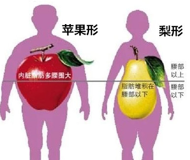 肥胖如何做好体重管理_肥胖症_肥胖症日常注意事项 - 好大夫在线