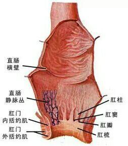 暂无