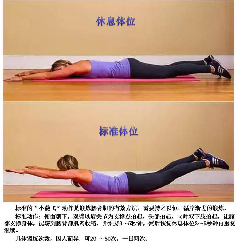 腰背肌锻炼图图片
