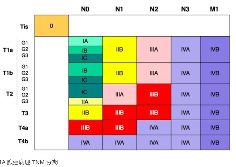 腺癌的TNM分期