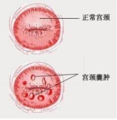 圖文圖片