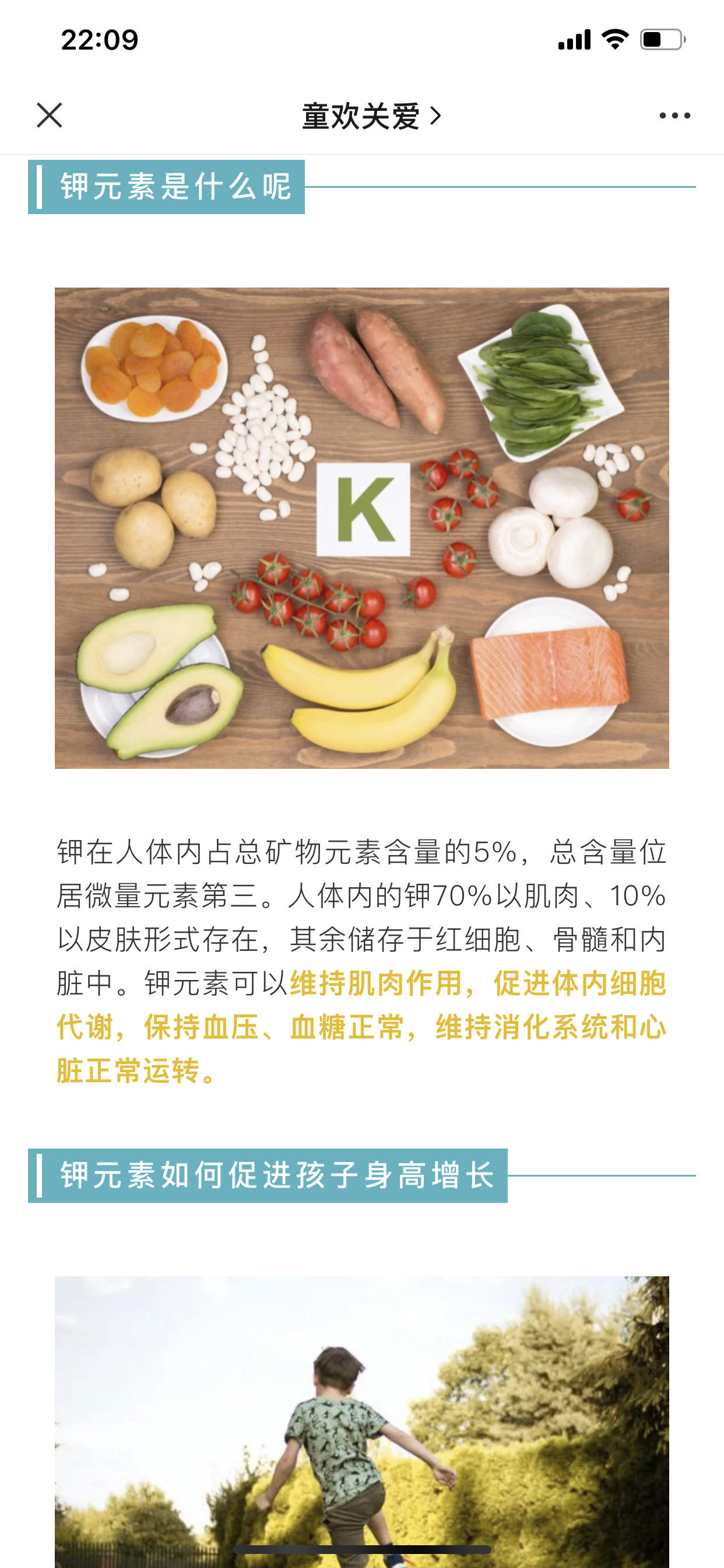 31种长高所需营养素,钾元素.