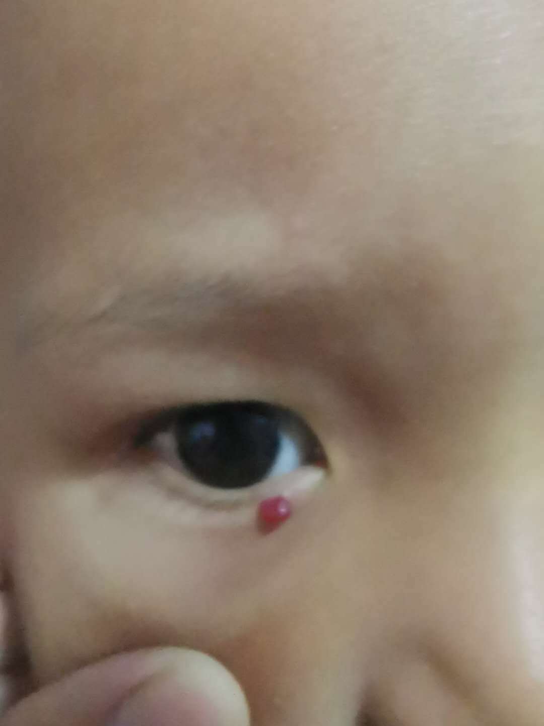 1601295464126596.jpg 微信图片_20200928191557.jpg