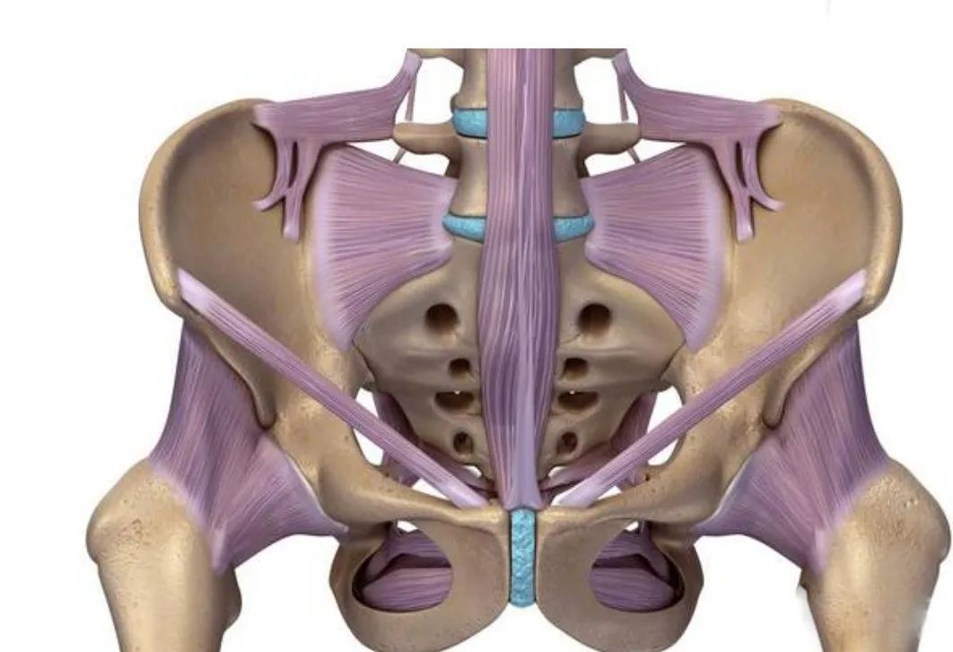 体内增加的雌激素和孕激素,会使得骶髂关节周围的韧带松弛,破坏骶髂