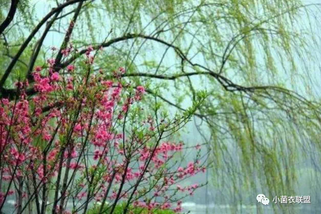 圖文圖片