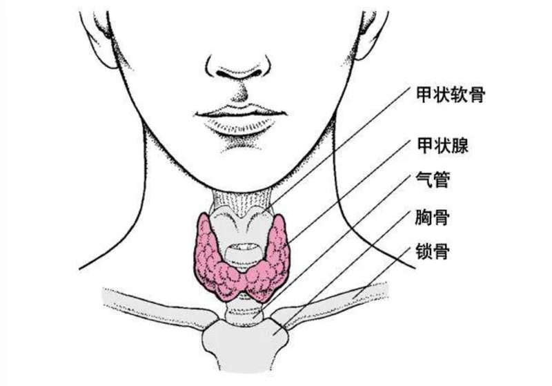 圖文圖片