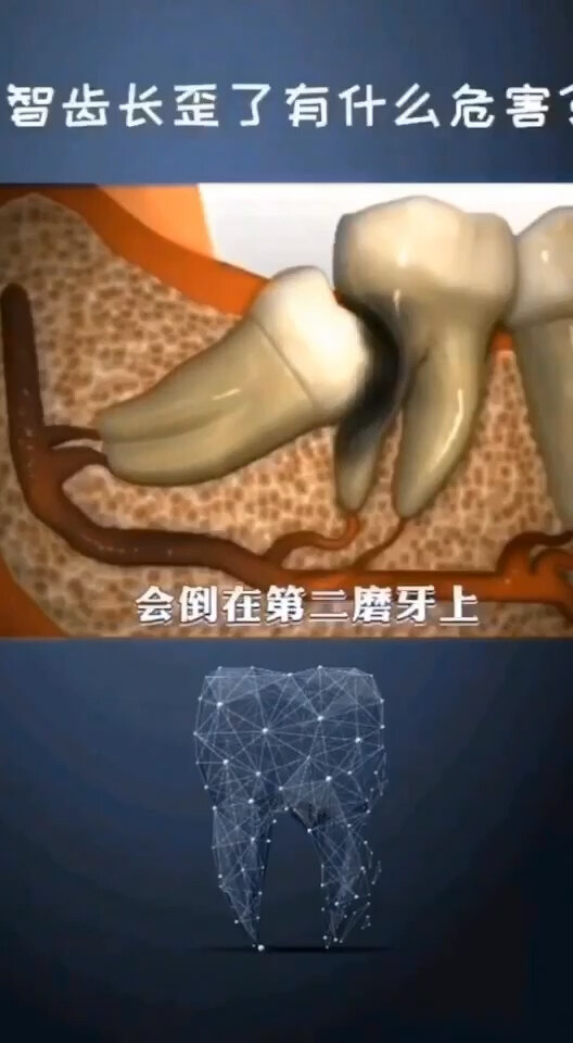 默认图片