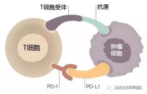 微信图片_20210131123940.jpg