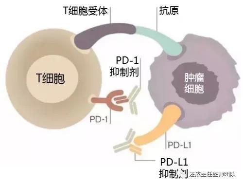 微信图片_20210131123944.jpg