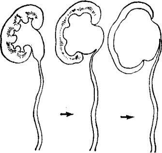 1609165477226041.png