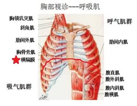 一 二 三 正确呼吸你准备好了吗 肺炎 肺炎 一 二 三 正确呼吸你准备好了吗 肺炎 肺炎