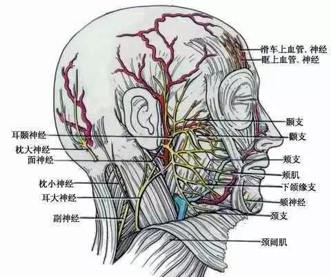 面肌痉挛--血管与面神经的激情碰撞