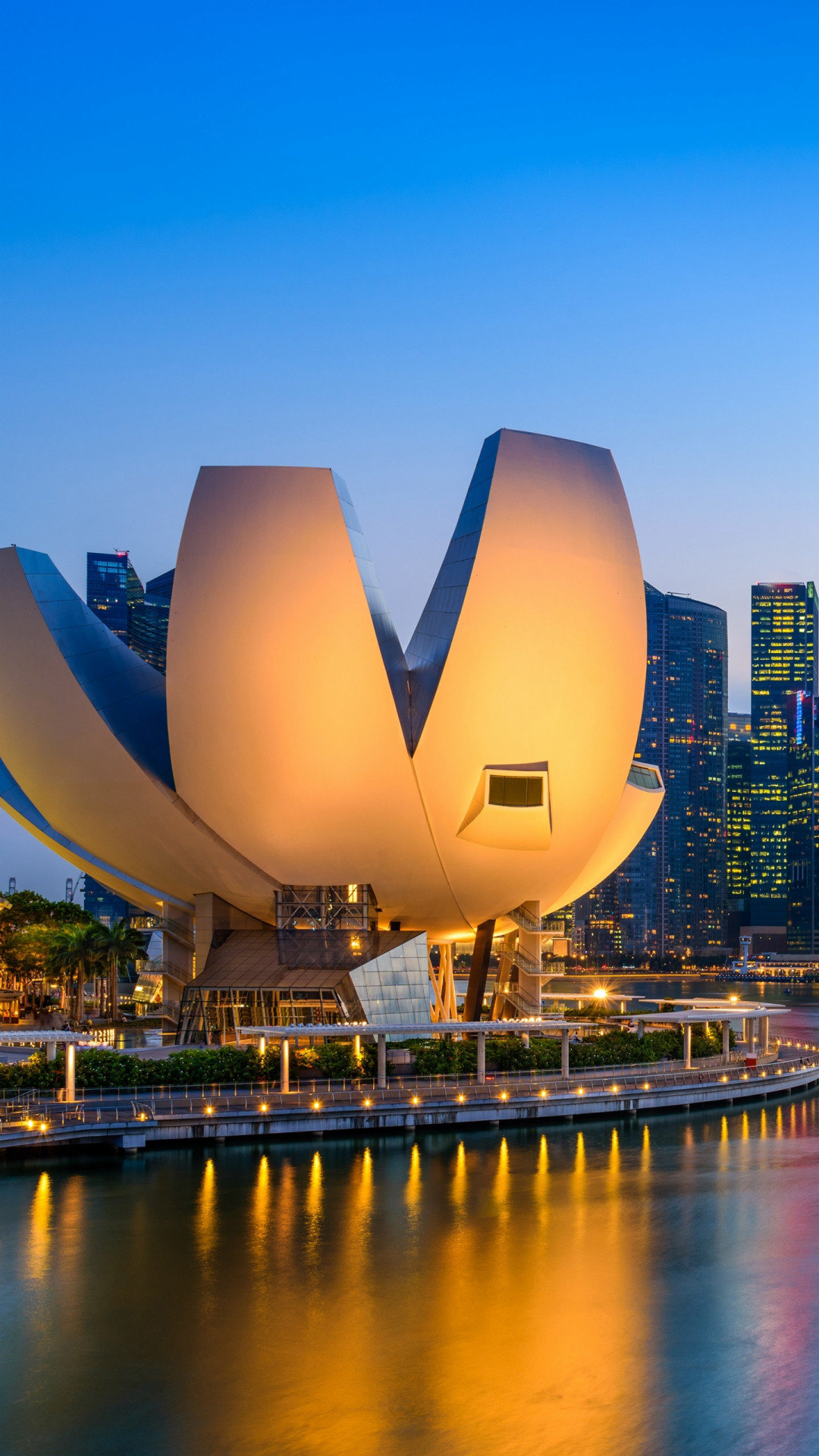 早期乳腺癌保乳手术…不是随便就可以做的!