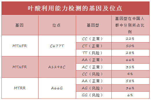 叶酸代谢基因检测的意义