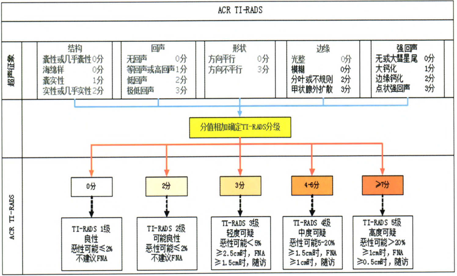 甲状腺acrtirads分级