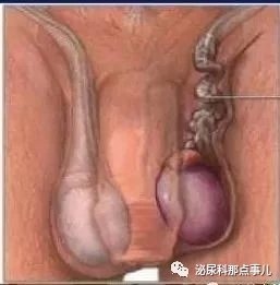 暂无