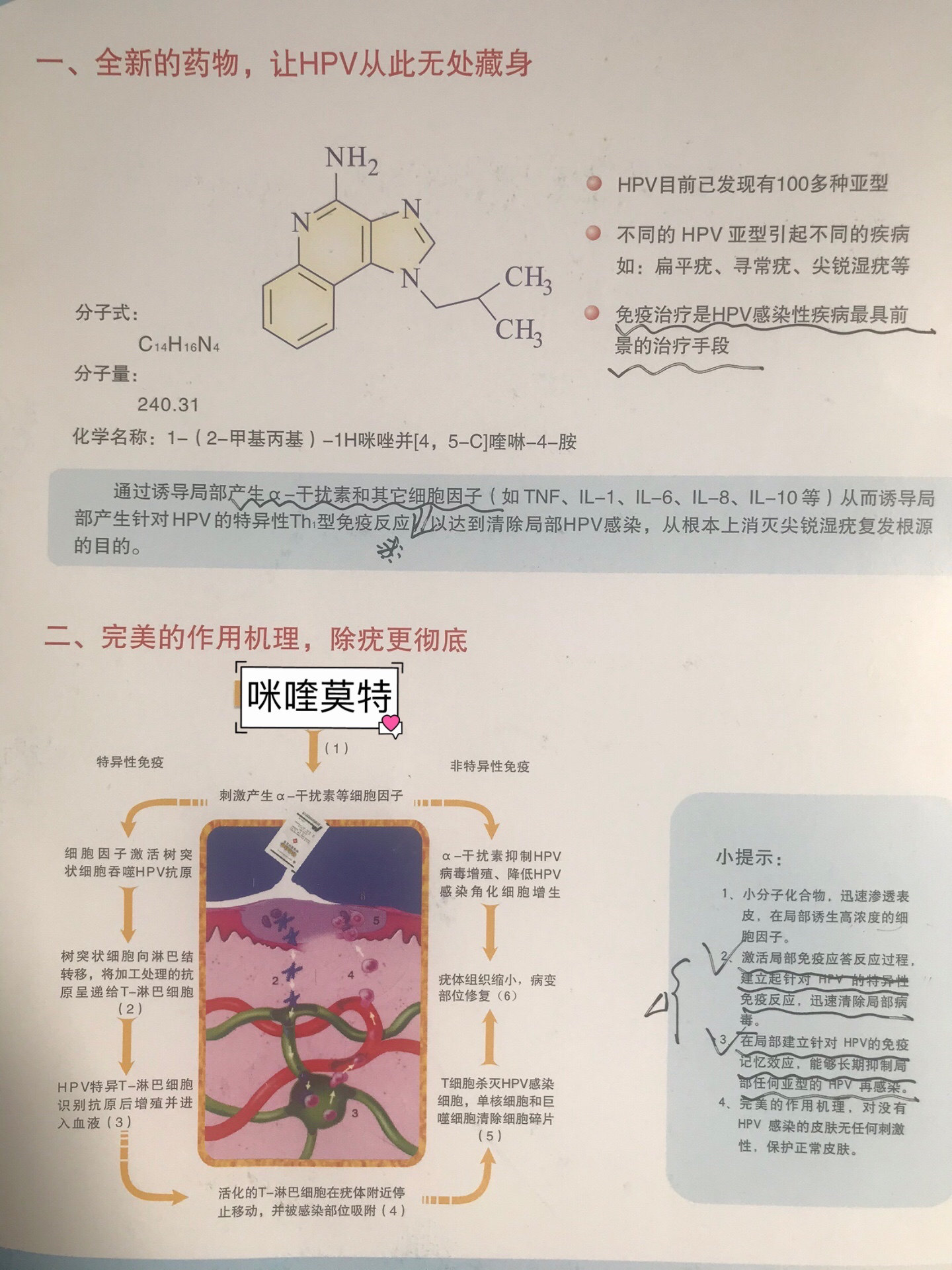 咪喹莫特乳膏治疗机理