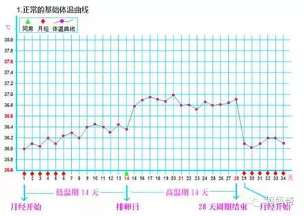 生理前 体温 何度 基礎体温は生理前のいつから下がる 高温期に体温が下がるときの原因と妊娠可能性は