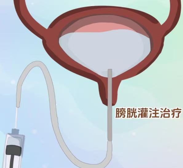 微信图片_20251103210602_39.jpg