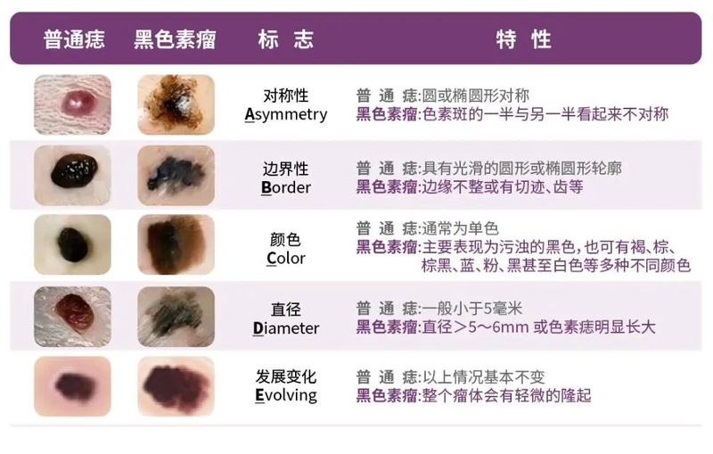 圖文圖片