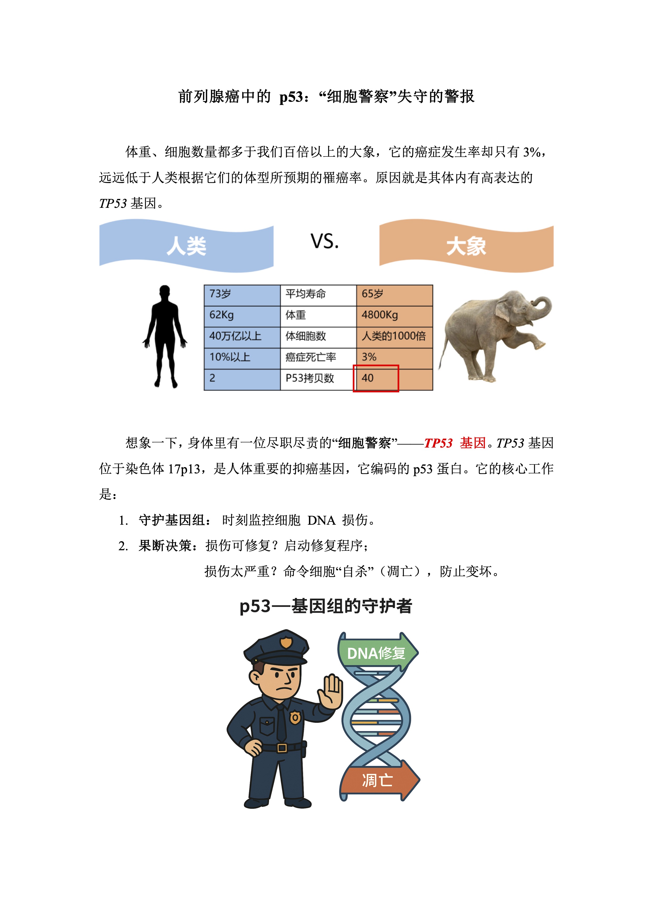圖文圖片