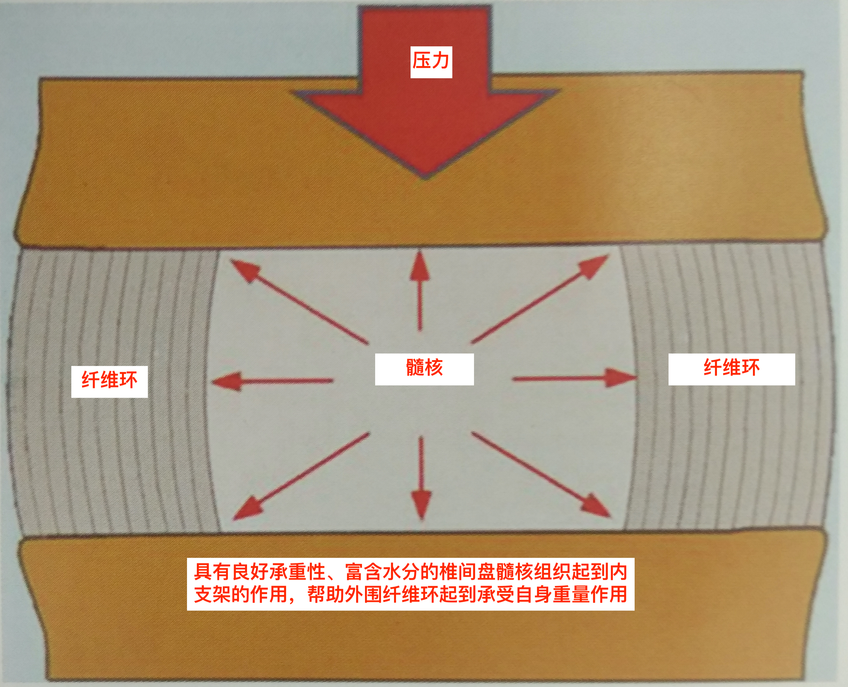 圖文圖片