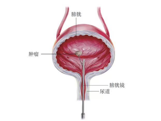 微信图片_2025-11-03_210118_329.jpg