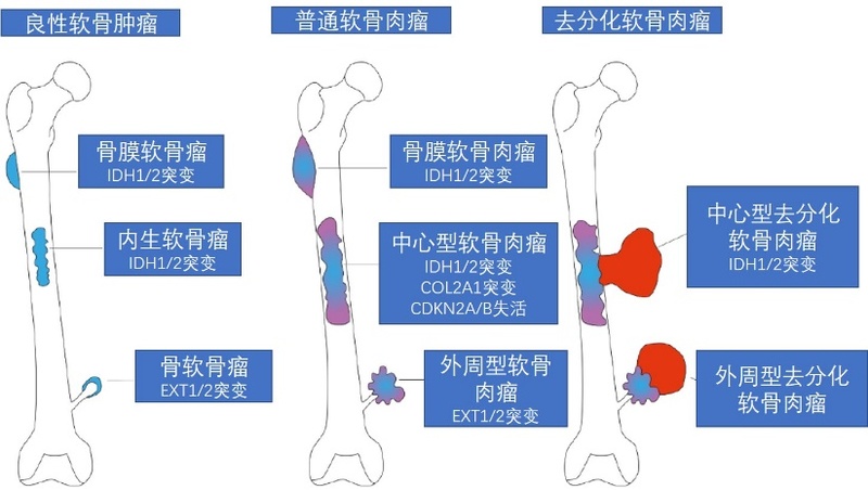 图文图片