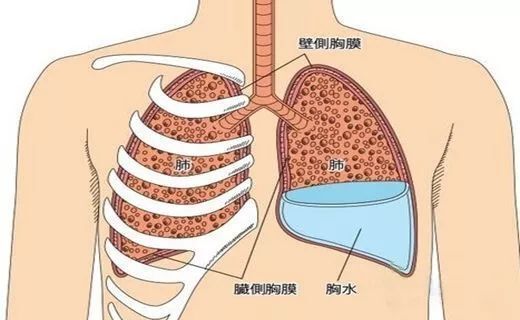 圖文圖片