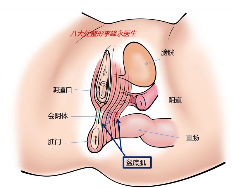 圖文圖片