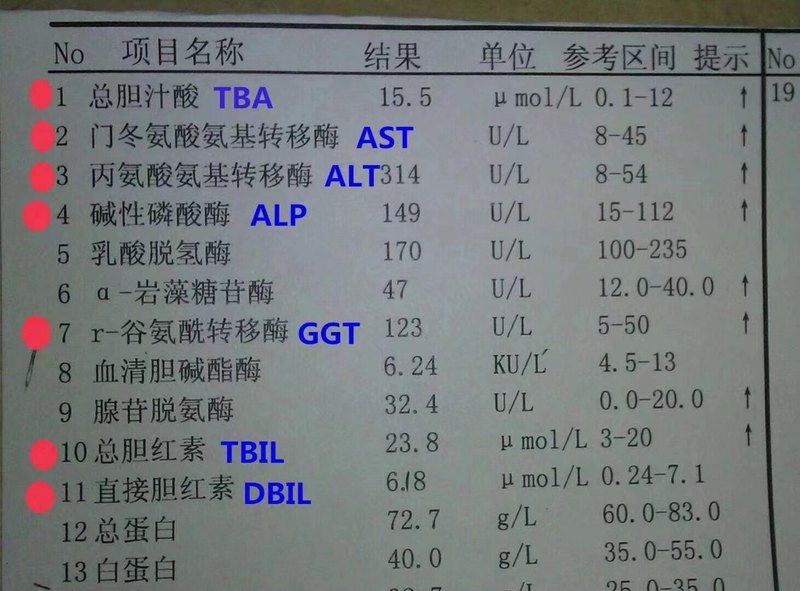 圖文圖片
