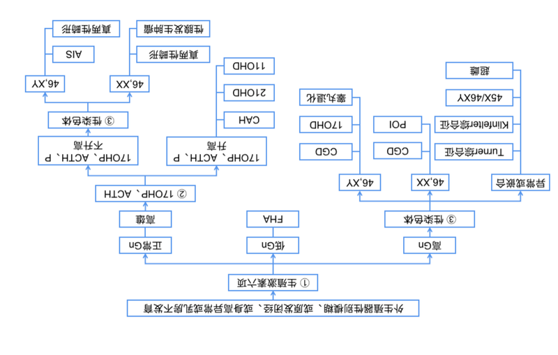 圖文圖片