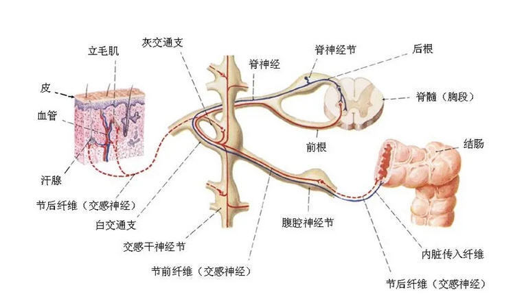 圖文圖片
