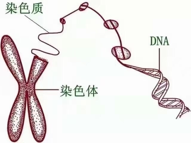 圖文圖片
