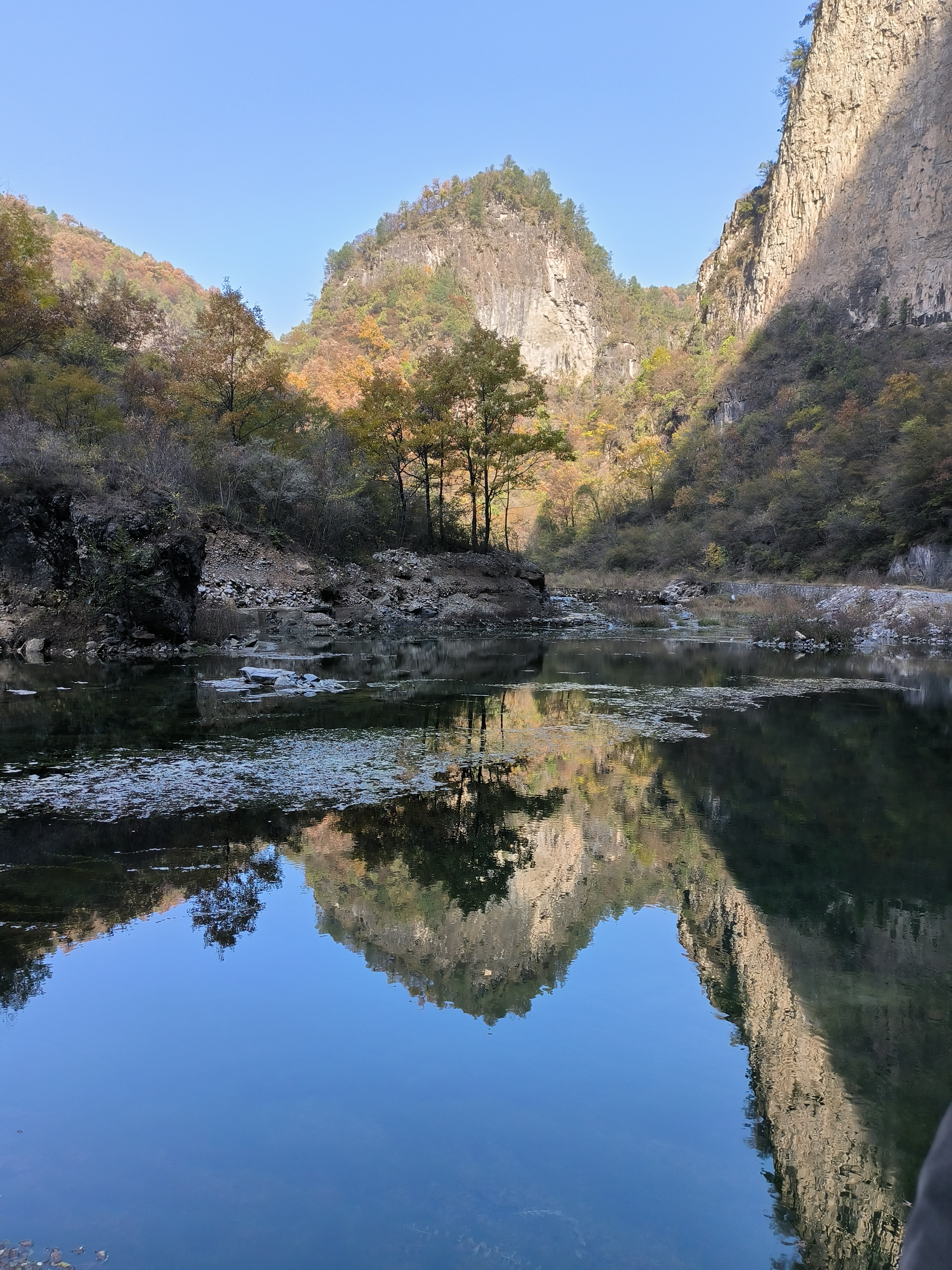 圖片