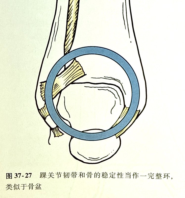 圖文圖片
