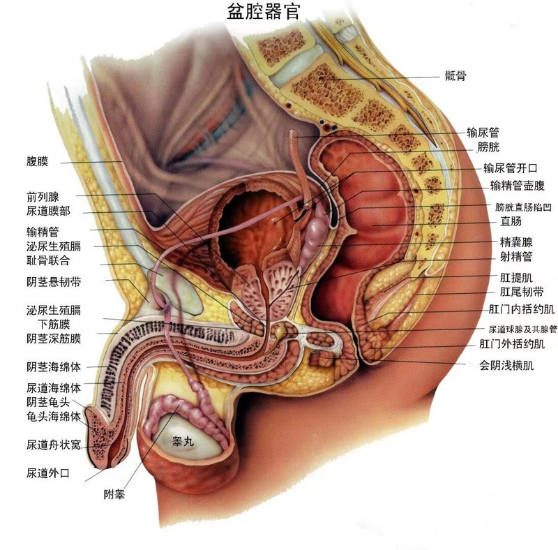 圖文圖片