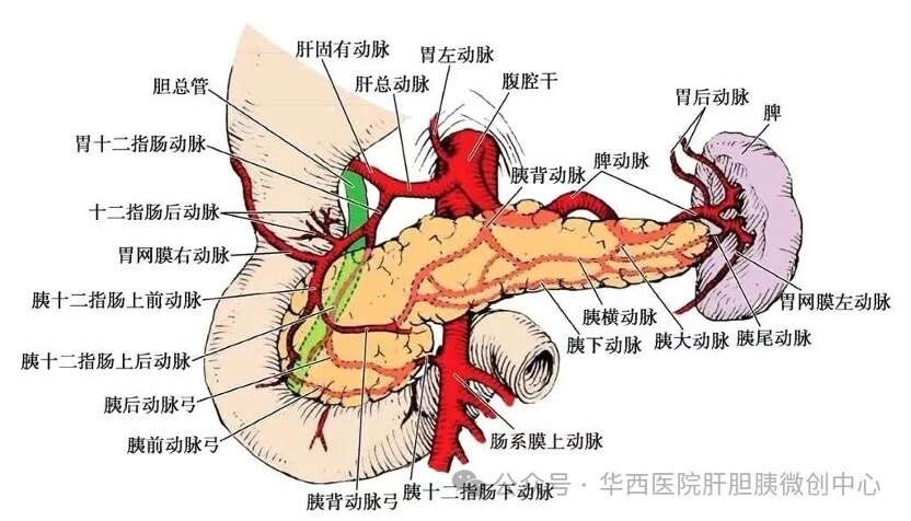 圖文圖片